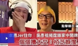 咏春小李爆料视频大全,揭秘咏春拳法精髓与实战技巧