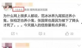 关于养小鬼的爆料视频播放,网络爆料视频背后的神秘世界