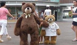 玩偶在线观看韩国,韩国悬疑惊悚，揭开隐藏在玩偶背后的惊悚真相